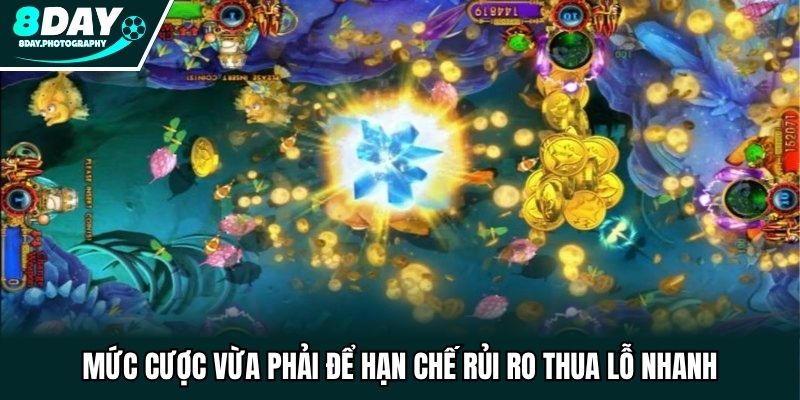 Mức cược vừa phải để hạn chế rủi ro thua lỗ nhanh