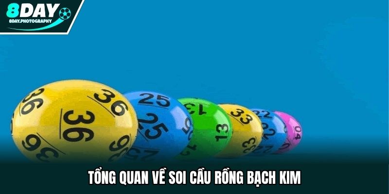 Tổng quan về soi cầu rồng bạch kim